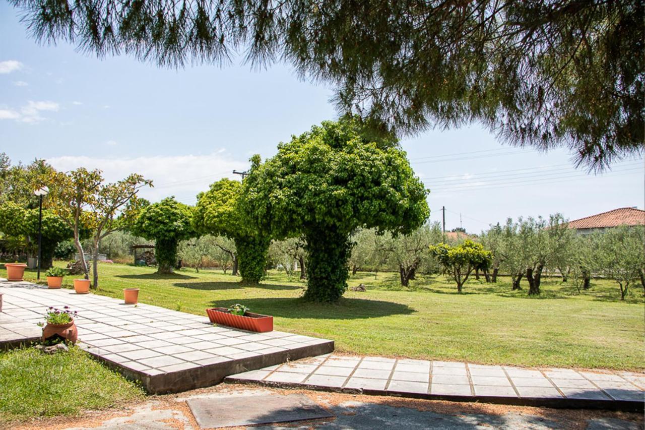 Olivemare Holidays Nea Iraklia Zewnętrze zdjęcie